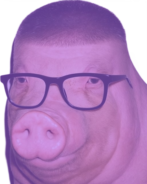 Wojak pig
